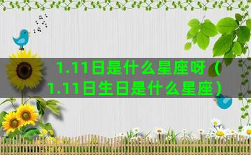 1.11日是什么星座呀（1.11日生日是什么星座）