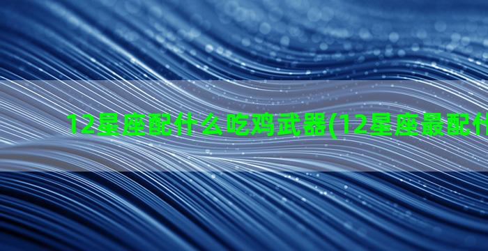 12星座配什么吃鸡武器(12星座最配什么豪宅)