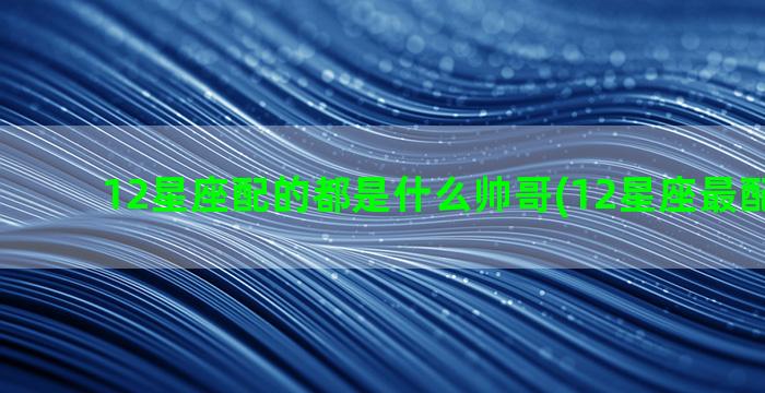 12星座配的都是什么帅哥(12星座最配什么车)