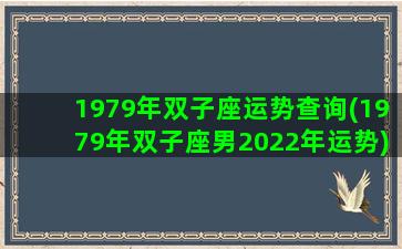 1979年双子座运势查询(1979年双子座男2022年运势)