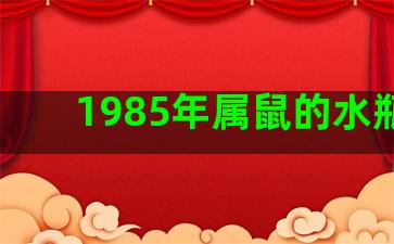 1985年属鼠的水瓶座