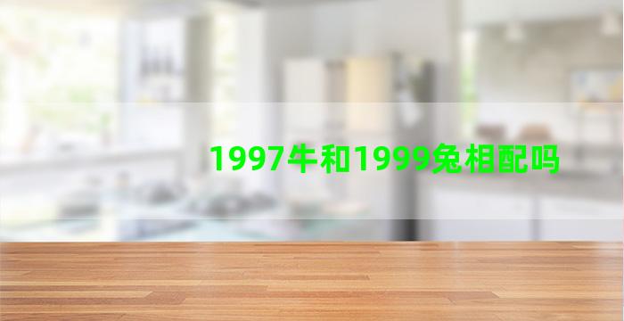 1997牛和1999兔相配吗