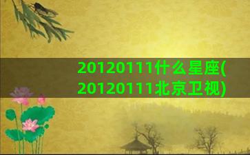 20120111什么星座(20120111北京卫视)