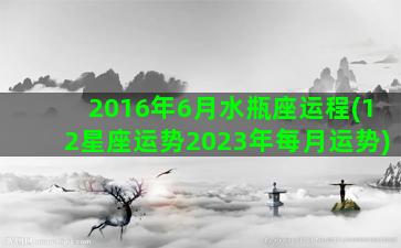 2016年6月水瓶座运程(12星座运势2023年每月运势)