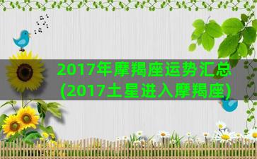 2017年摩羯座运势汇总(2017土星进入摩羯座)