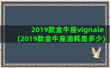 2019款金牛座vignale(2019款金牛座油耗是多少)