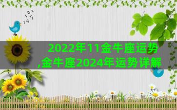 2022年11金牛座运势,金牛座2024年运势详解