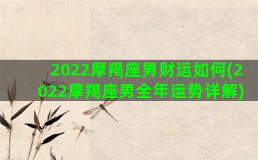 2022摩羯座男财运如何(2022摩羯座男全年运势详解)