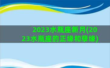 2023水瓶座新月(2023水瓶座的正缘和孽缘)