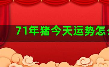 71年猪今天运势怎么样