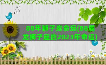 88年狮子座命运(88属龙狮子座的2023年命运)