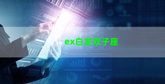 ex白发双子座