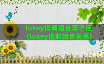 lokey低调组合双子座(lokey低调组合关系)