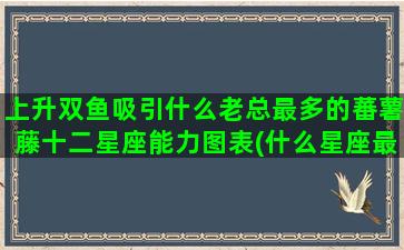 上升双鱼吸引什么老总最多的蕃薯藤十二星座能力图表(什么星座最吸引双鱼女)