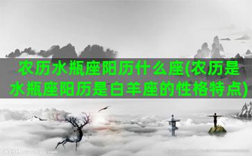 农历水瓶座阳历什么座(农历是水瓶座阳历是白羊座的性格特点)