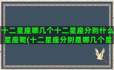 十二星座哪几个十二星座分别什么星座呢(十二星座分别是哪几个星座)