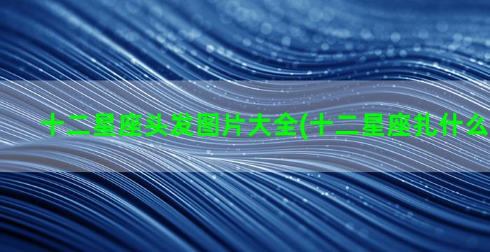 十二星座头发图片大全(十二星座扎什么头发可爱)