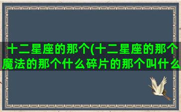 十二星座的那个(十二星座的那个魔法的那个什么碎片的那个叫什么)