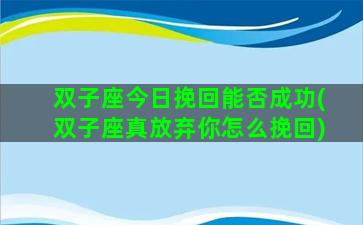 双子座今日挽回能否成功(双子座真放弃你怎么挽回)