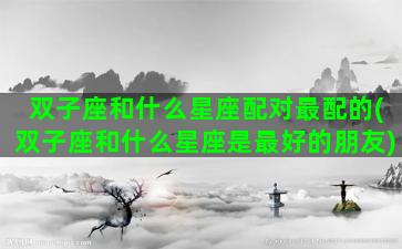 双子座和什么星座配对最配的(双子座和什么星座是最好的朋友)