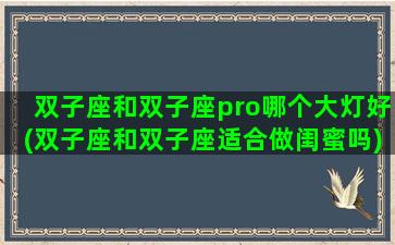 双子座和双子座pro哪个大灯好(双子座和双子座适合做闺蜜吗)