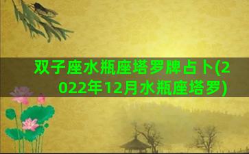 双子座水瓶座塔罗牌占卜(2022年12月水瓶座塔罗)