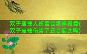 双子座被人伤害会怎样报复(双子座被伤害了还会回头吗)