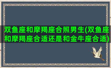 双鱼座和摩羯座合照男生(双鱼座和摩羯座合适还是和金牛座合适)