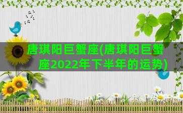 唐琪阳巨蟹座(唐琪阳巨蟹座2022年下半年的运势)