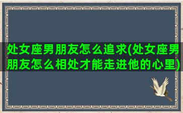 处女座男朋友怎么追求(处女座男朋友怎么相处才能走进他的心里)