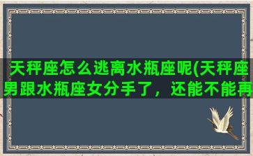 天秤座怎么逃离水瓶座呢(天秤座男跟水瓶座女分手了，还能不能再复合)