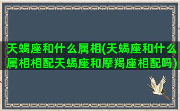 天蝎座和什么属相(天蝎座和什么属相相配天蝎座和摩羯座相配吗)