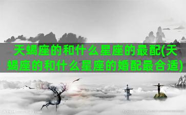 天蝎座的和什么星座的最配(天蝎座的和什么星座的婚配最合适)