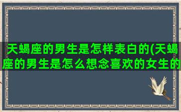 天蝎座的男生是怎样表白的(天蝎座的男生是怎么想念喜欢的女生的)