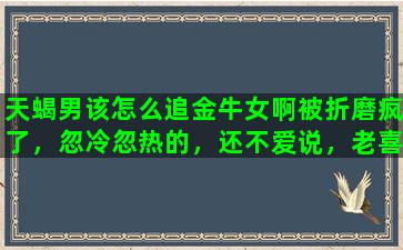 天蝎男该怎么追金牛女啊被折磨疯了，忽冷忽热的，还不爱说，老喜欢藏心里