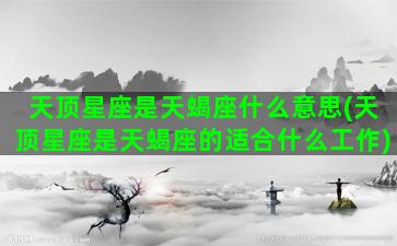 天顶星座是天蝎座什么意思(天顶星座是天蝎座的适合什么工作)