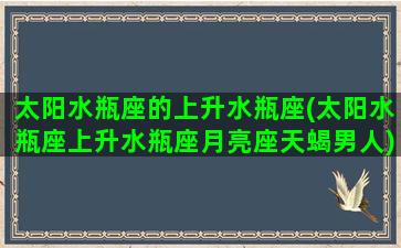 太阳水瓶座的上升水瓶座(太阳水瓶座上升水瓶座月亮座天蝎男人)