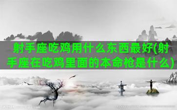 射手座吃鸡用什么东西最好(射手座在吃鸡里面的本命枪是什么)