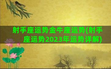 射手座运势金牛座运势(射手座运势2023年运势详解)