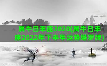 属牛白羊座2020(属牛白羊座2022年下半年运势塔罗牌)