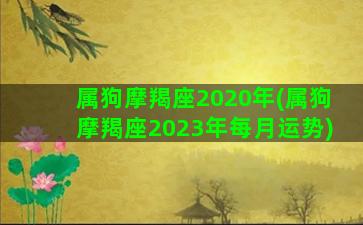 属狗摩羯座2020年(属狗摩羯座2023年每月运势)