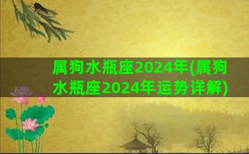 属狗水瓶座2024年(属狗水瓶座2024年运势详解)