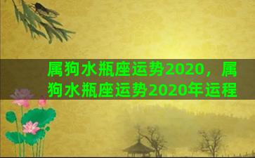 属狗水瓶座运势2020，属狗水瓶座运势2020年运程