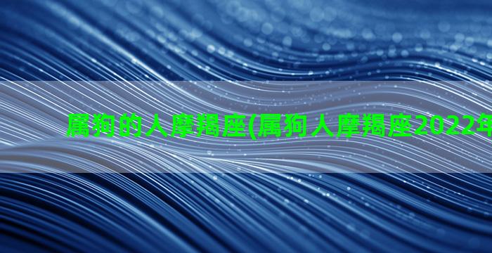 属狗的人摩羯座(属狗人摩羯座2022年幸运色)