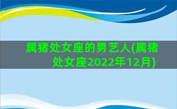 属猪处女座的男艺人(属猪处女座2022年12月)