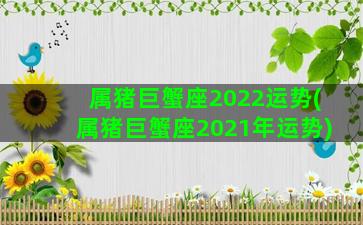 属猪巨蟹座2022运势(属猪巨蟹座2021年运势)