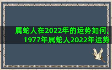 属蛇人在2022年的运势如何,1977年属蛇人2022年运势