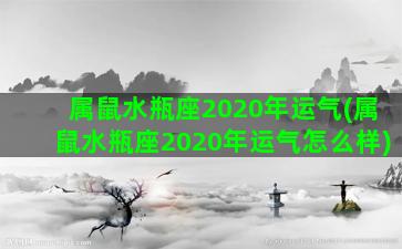 属鼠水瓶座2020年运气(属鼠水瓶座2020年运气怎么样)