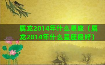 属龙2014年什么星座（属龙2014年什么星座最好）