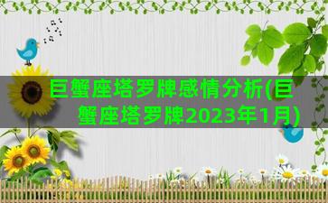 巨蟹座塔罗牌感情分析(巨蟹座塔罗牌2023年1月)